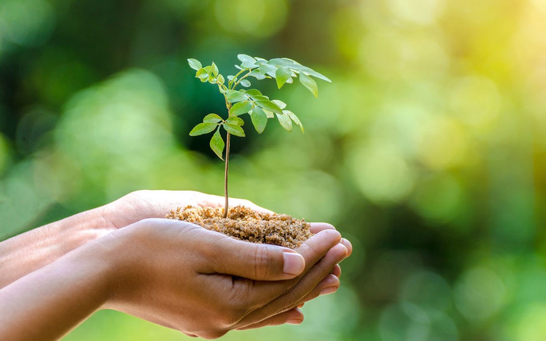 A step towards a greener future: Thank you all!